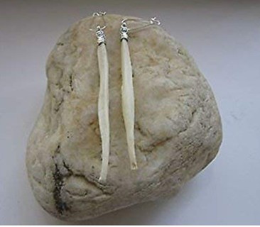 coyote penis earrings